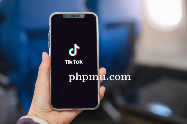 6 TikTok Downloader Gratis untuk Download Video dari Browser