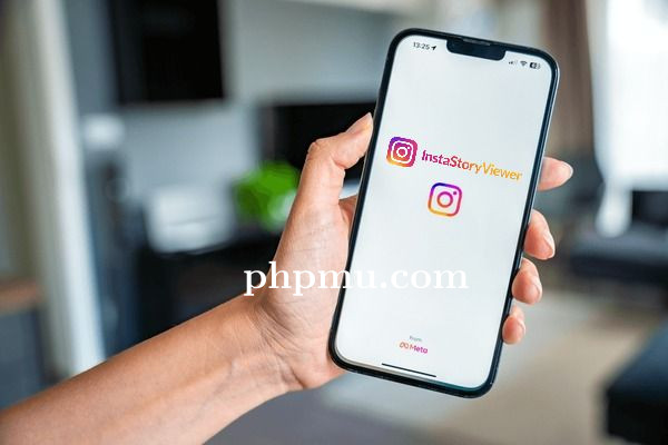 Cara Melihat Story Instagram Tanpa Login Menggunakan Insta Story Viewer
