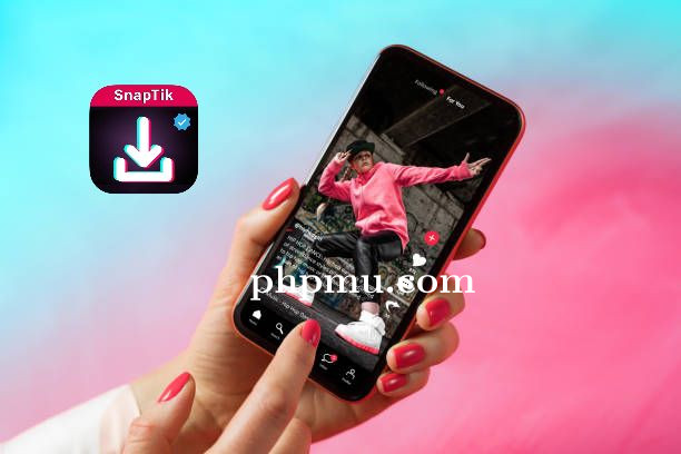 Snaptik: Cara Praktis Menyimpan Video TikTok di PC dan Laptop