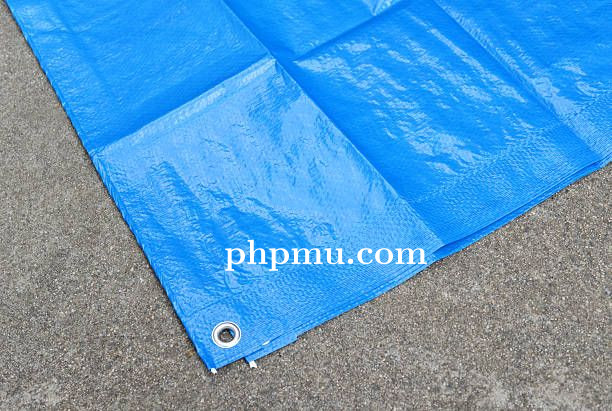 Kenali Jenis Terpal Kolam yang Paling Laris di Pasaran Tahun Ini